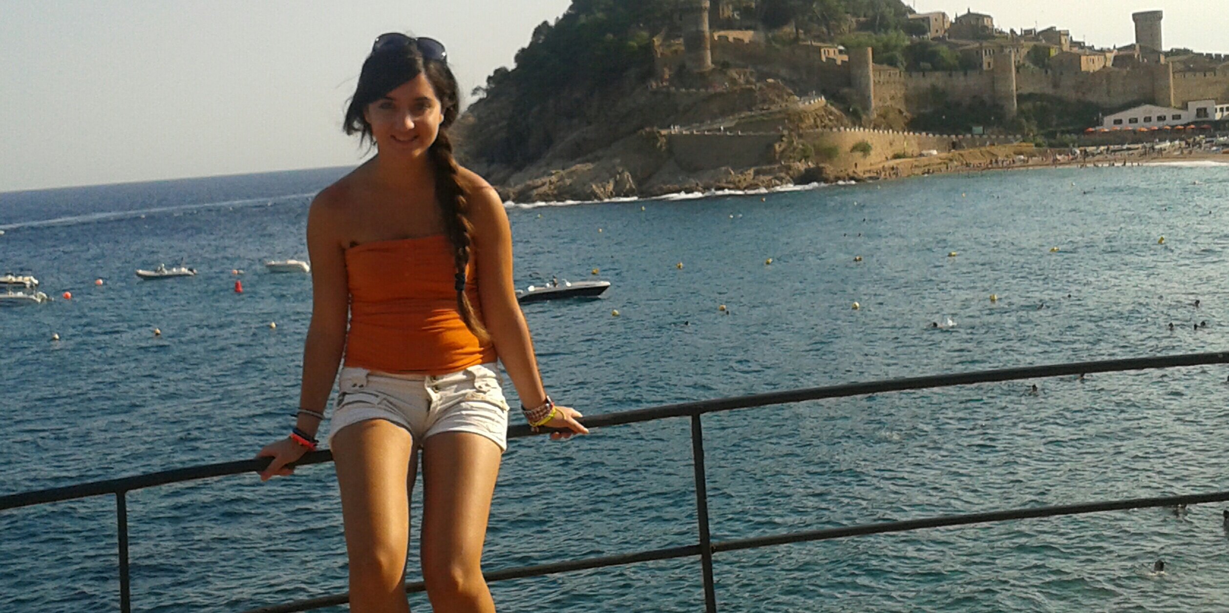 Visi banner