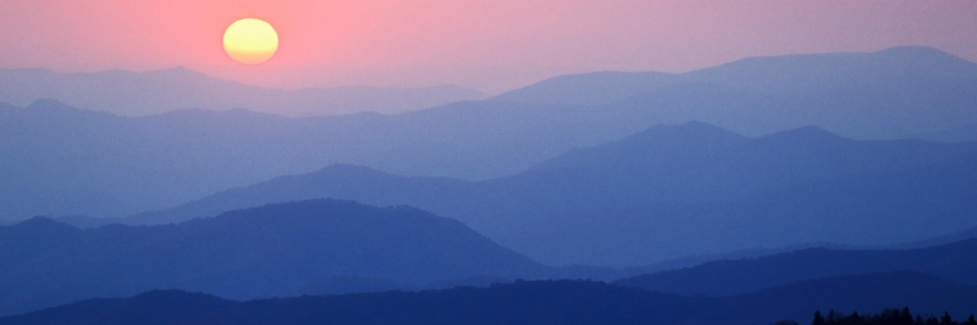 nickyiole's profile banner image