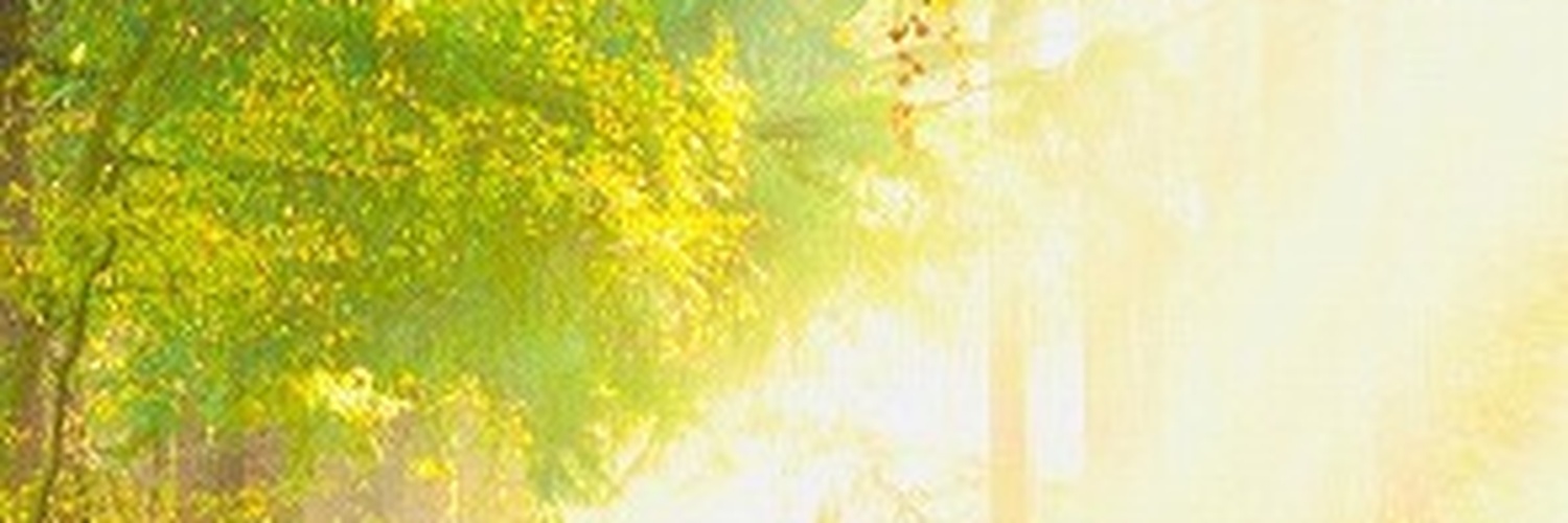 618price's profile banner image