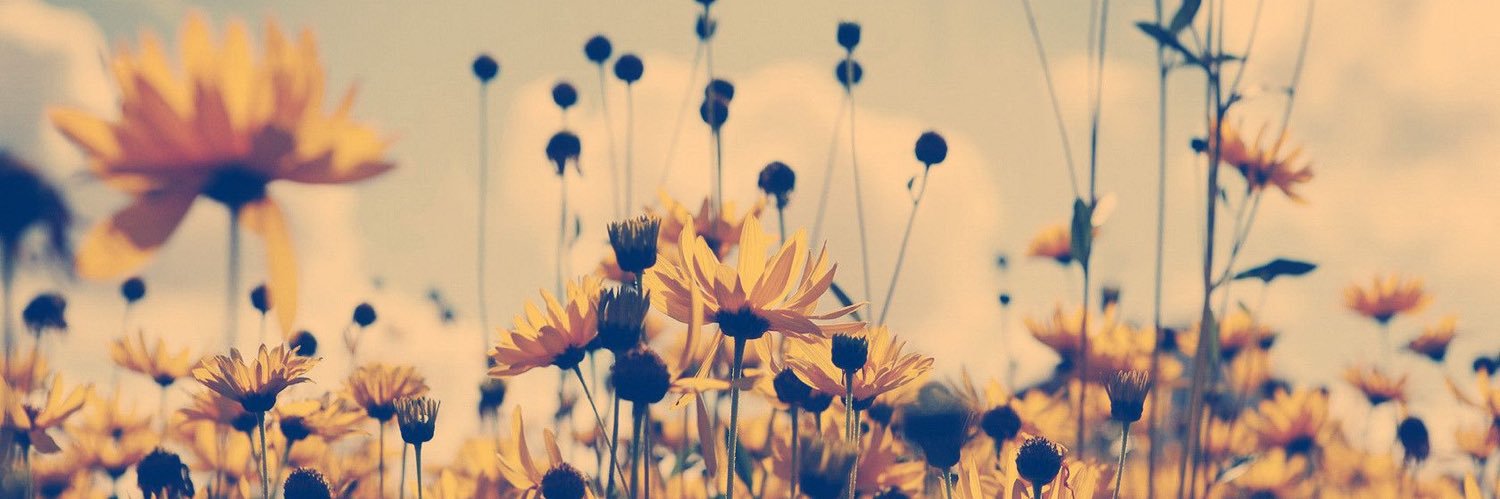_marybowen's profile banner image
