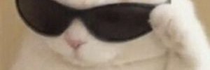 halemauma's profile banner image