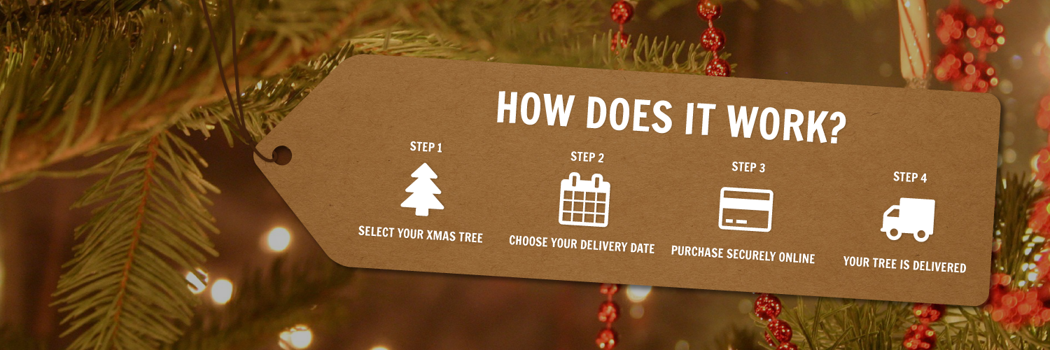 TheXmasTreeProj's profile banner image