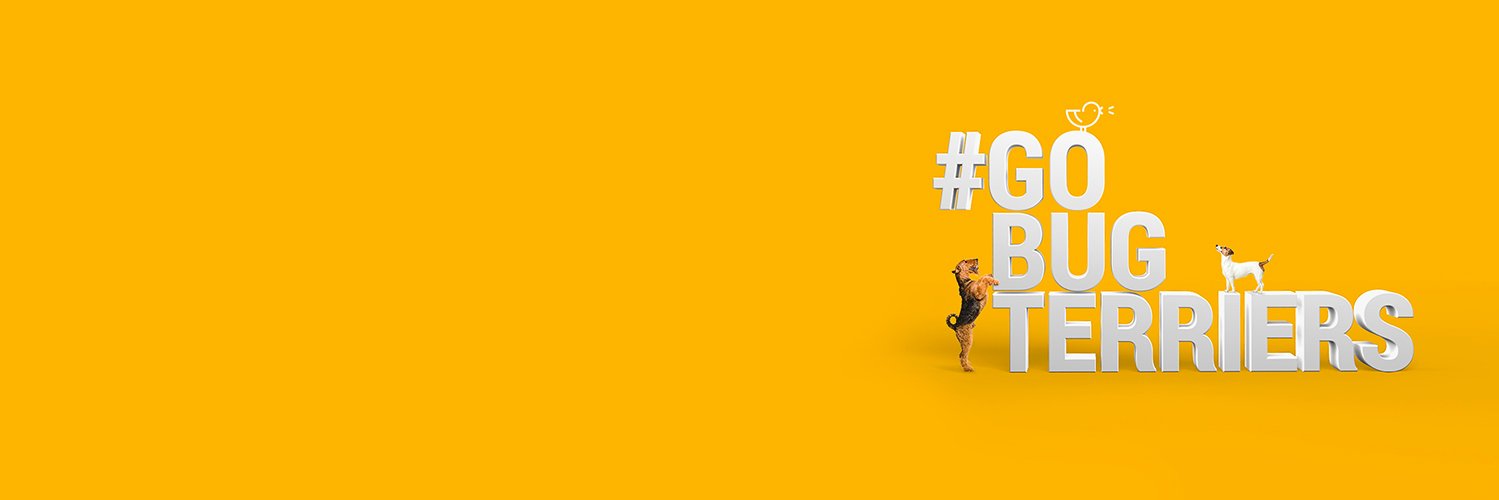 BugterrierTeam's profile banner image