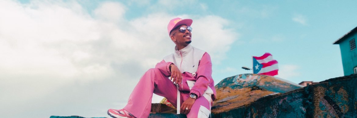 Aniel Rosario banner