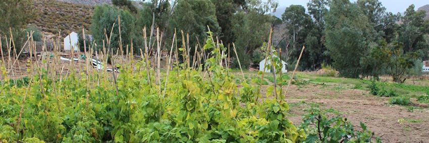 SurplusPeopleProject banner