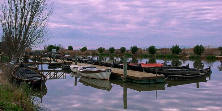 Jesús Monzó banner