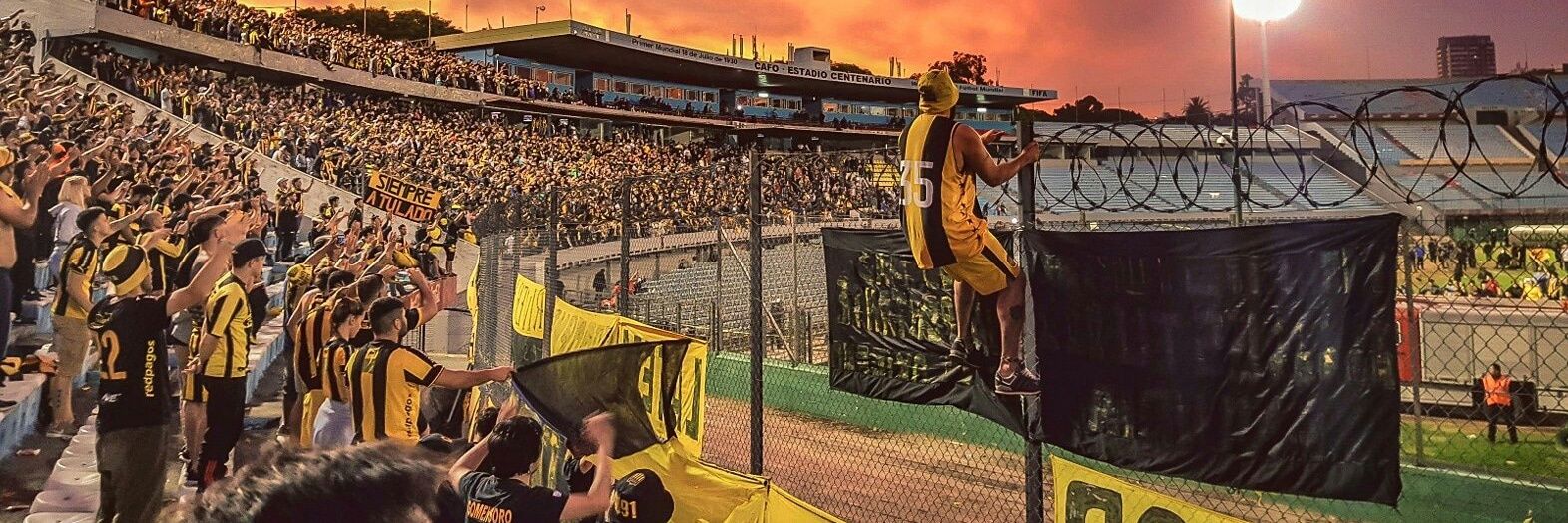 Castroliveraa's profile banner image