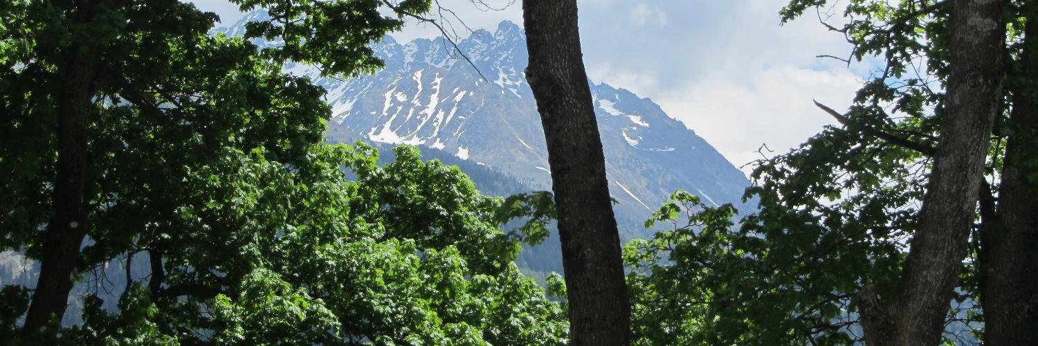 Ailish Malone banner