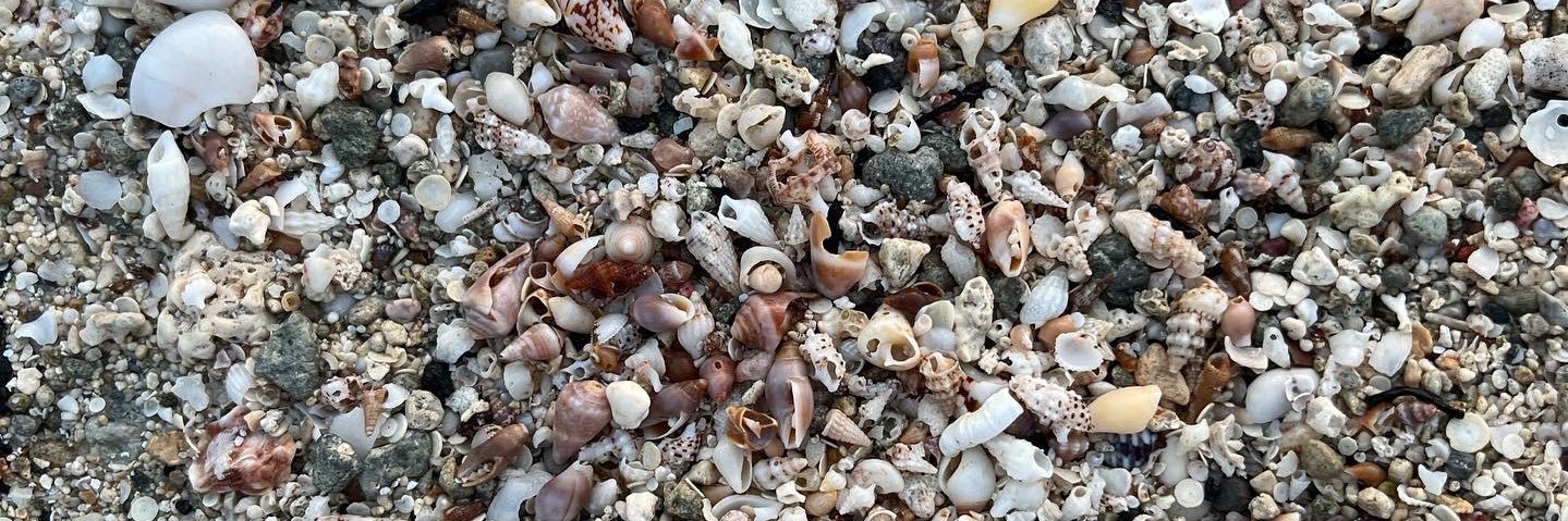 Liesbeth gym era banner