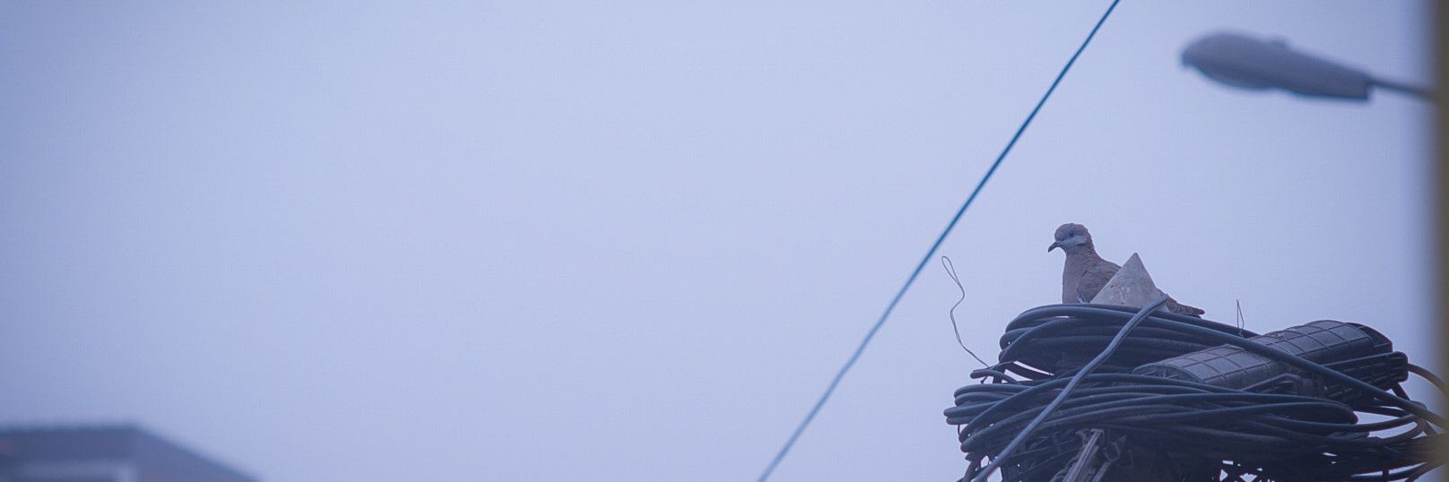 jdmn90210's profile banner image