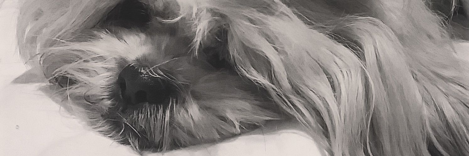 AlbitaM93's profile banner image