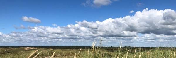 RRootert Profile Banner