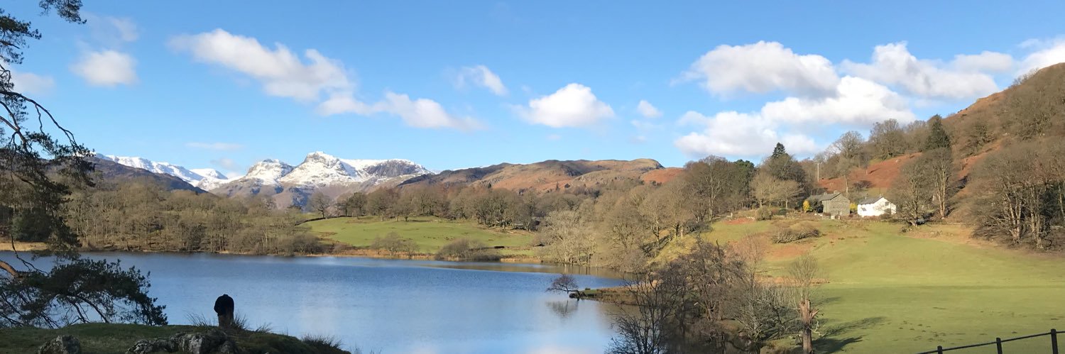 gwilliamson20's profile banner image