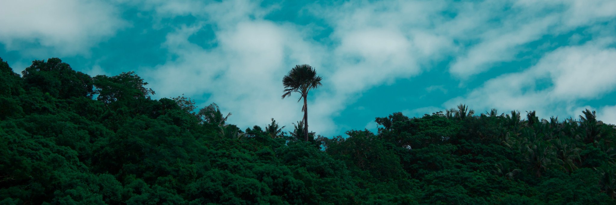 rooodthesecond's profile banner image