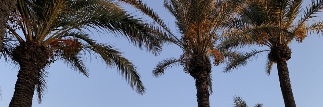 chantaybrown_'s profile banner image