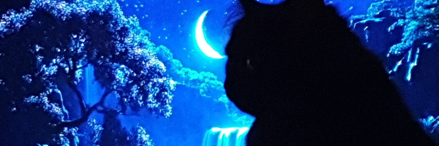 AbdullahShammoh's profile banner image
