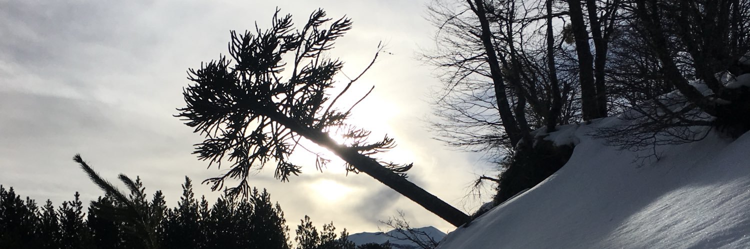 SimonPabloBB's profile banner image