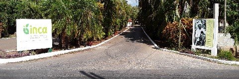 InstitutoNacionalDeCienciasAgrícolas (INCA) banner