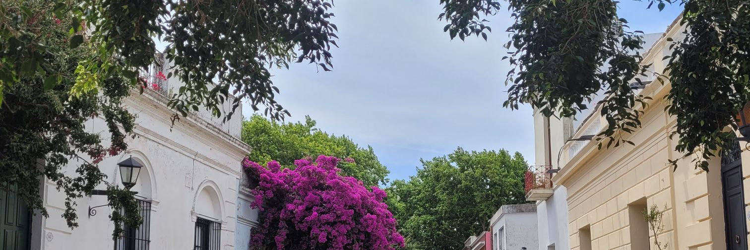 giselagsreale's profile banner image