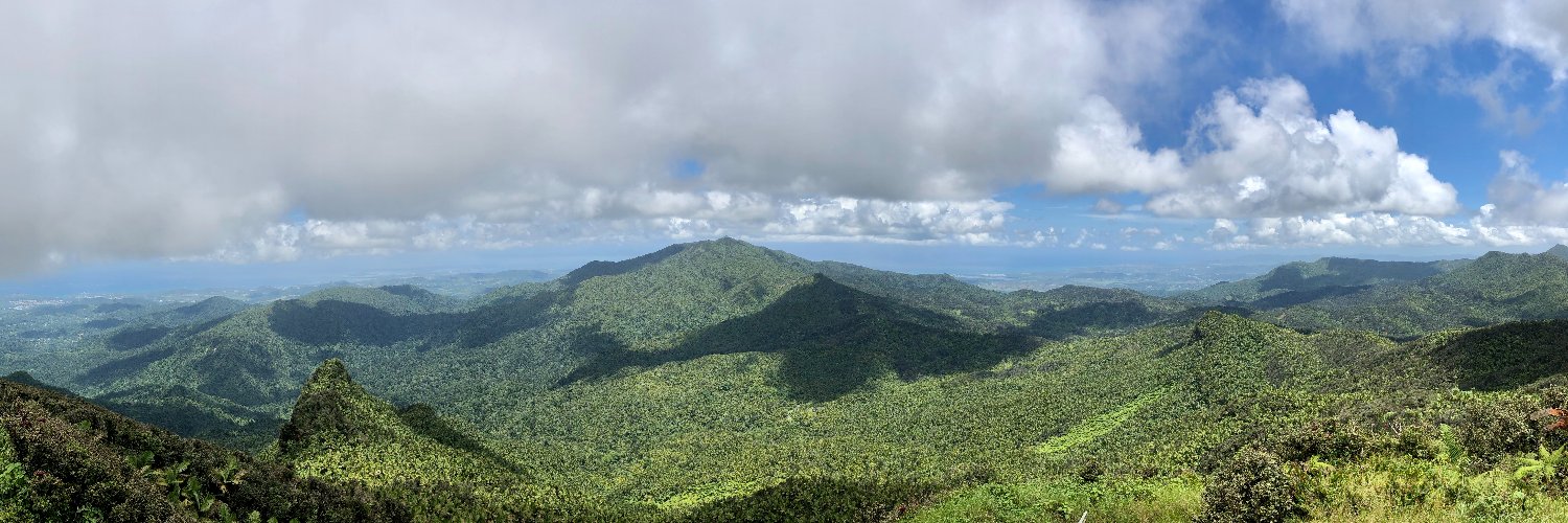 ForestWarming's profile banner image