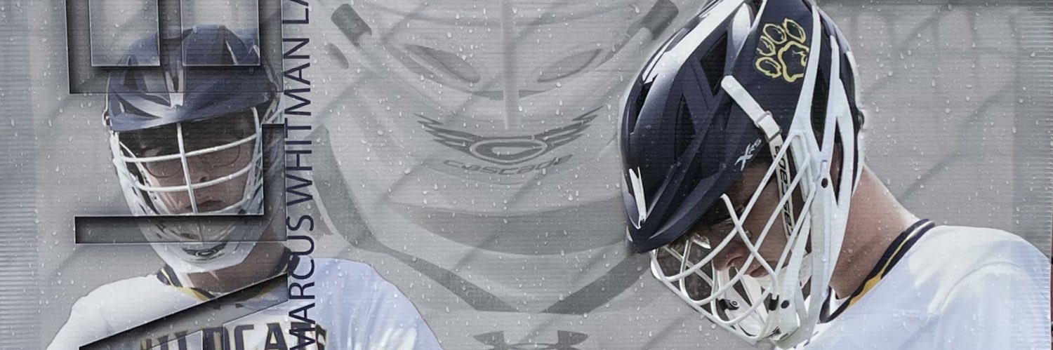 swtmandamay's profile banner image