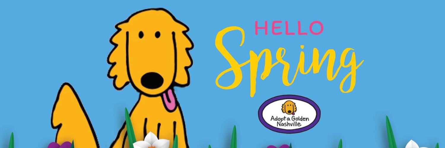 AdoptGoldenNash's profile banner image
