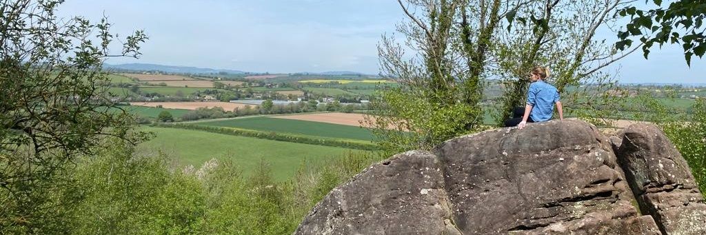 Helen Everett banner