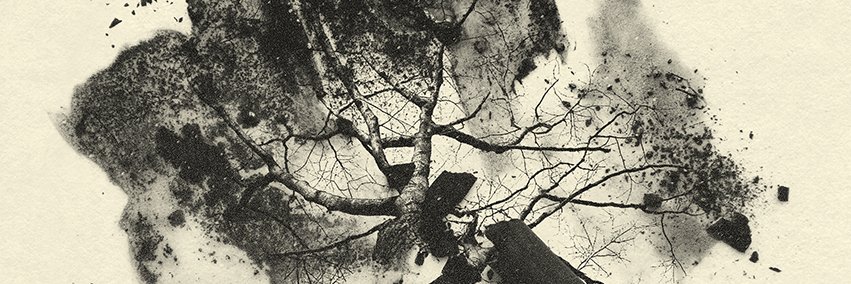 XPandaband's profile banner image