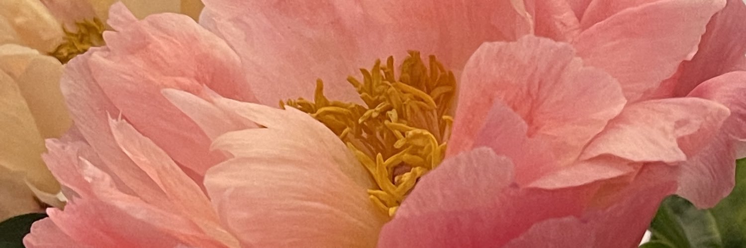 juligie's profile banner image