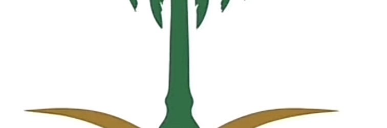 DSj_1382's profile banner image