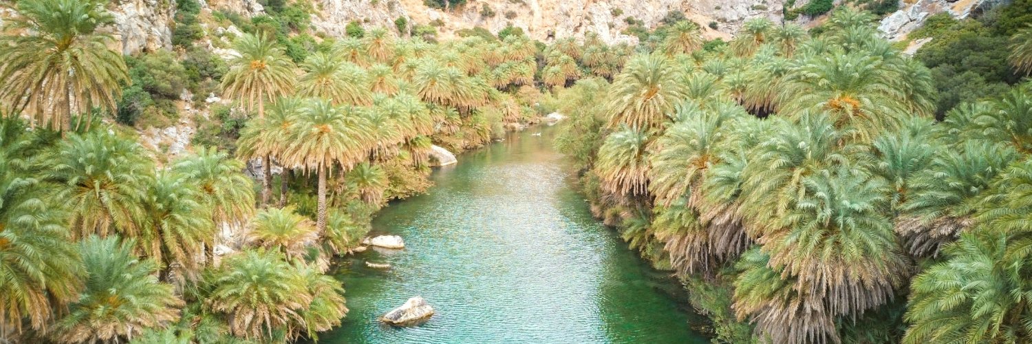 LeipzigPalms's profile banner image
