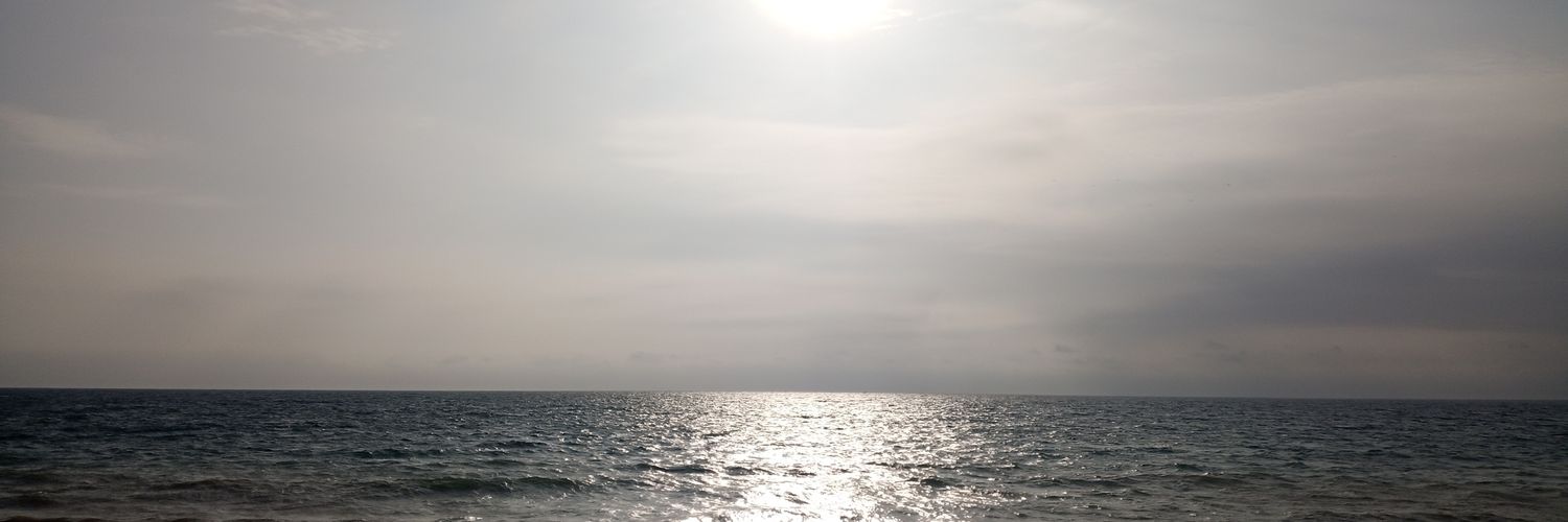 blanceli's profile banner image