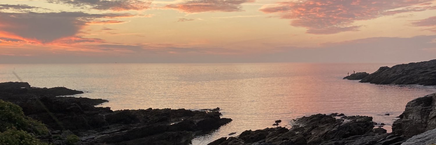 Solennaudic's profile banner image
