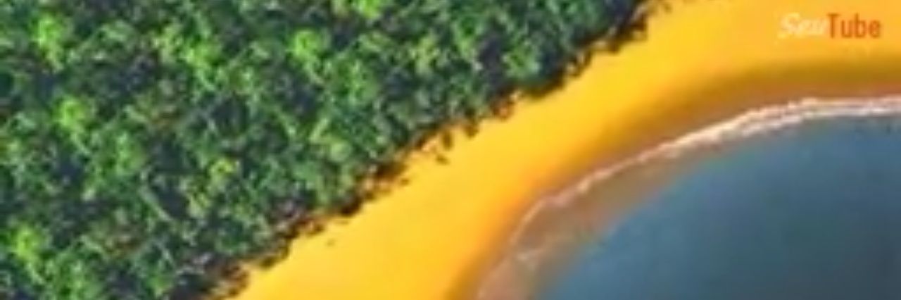 marco_garrefa's profile banner image