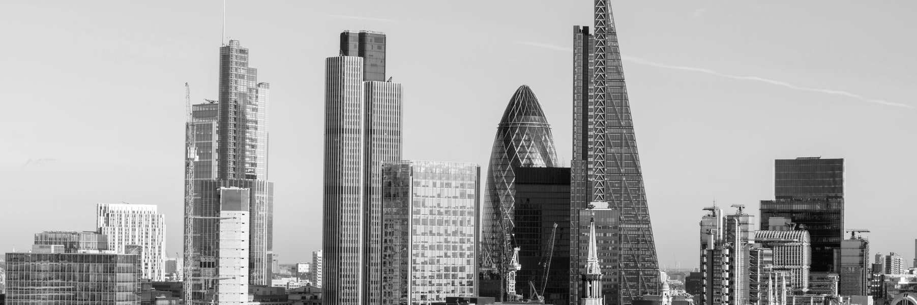 HNS_UK's profile banner image