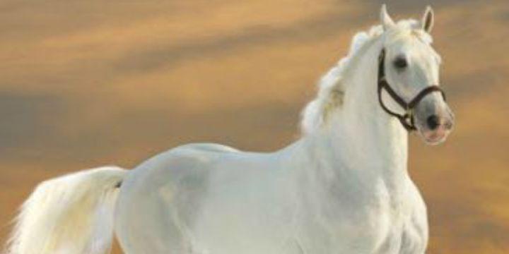 nsnass's profile banner image