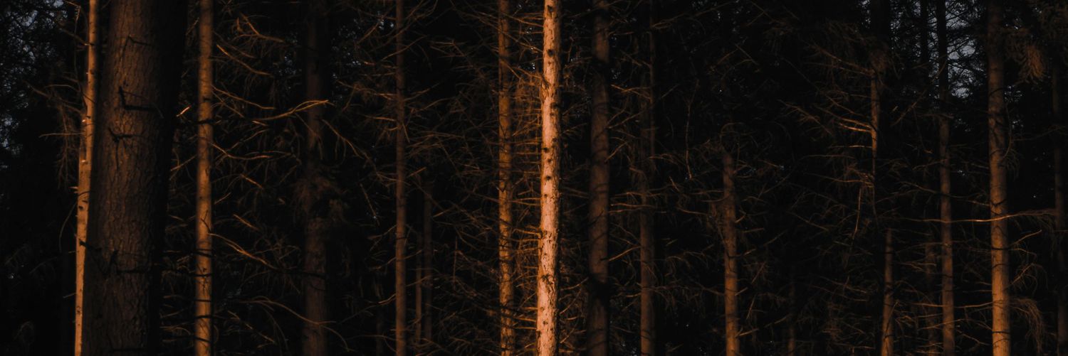 ezsliy's profile banner image