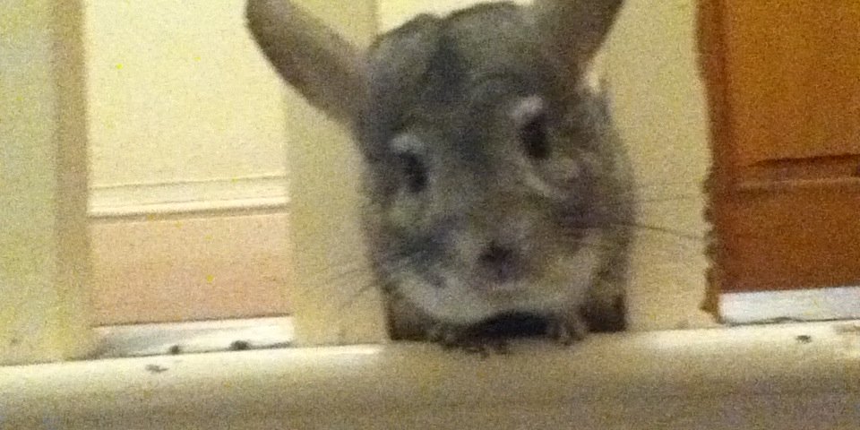 Jonathan Scourfield banner