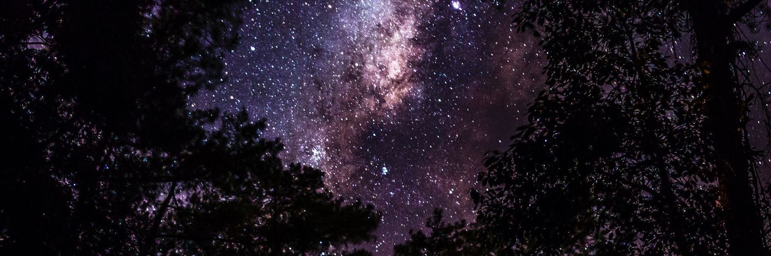 sofiamalagon9's profile banner image