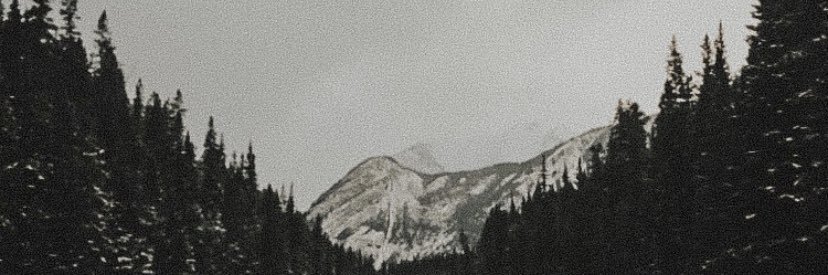 ainschapellaz's profile banner image