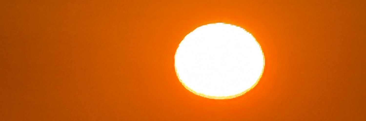 eddybugg's profile banner image