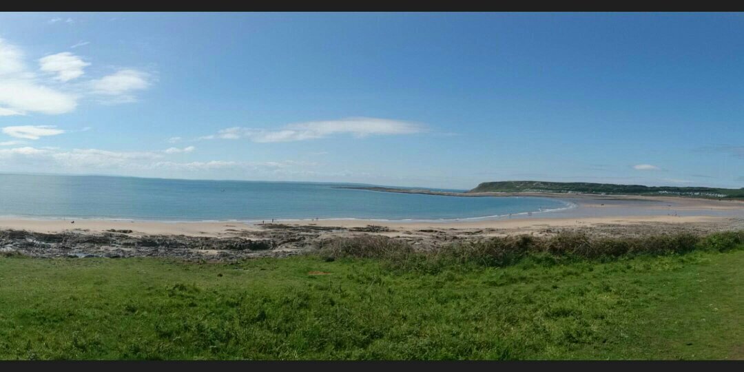 Ashley Bishop banner