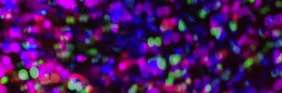 nrhapsari's profile banner image