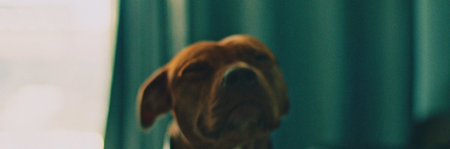 ricooszn_'s profile banner image