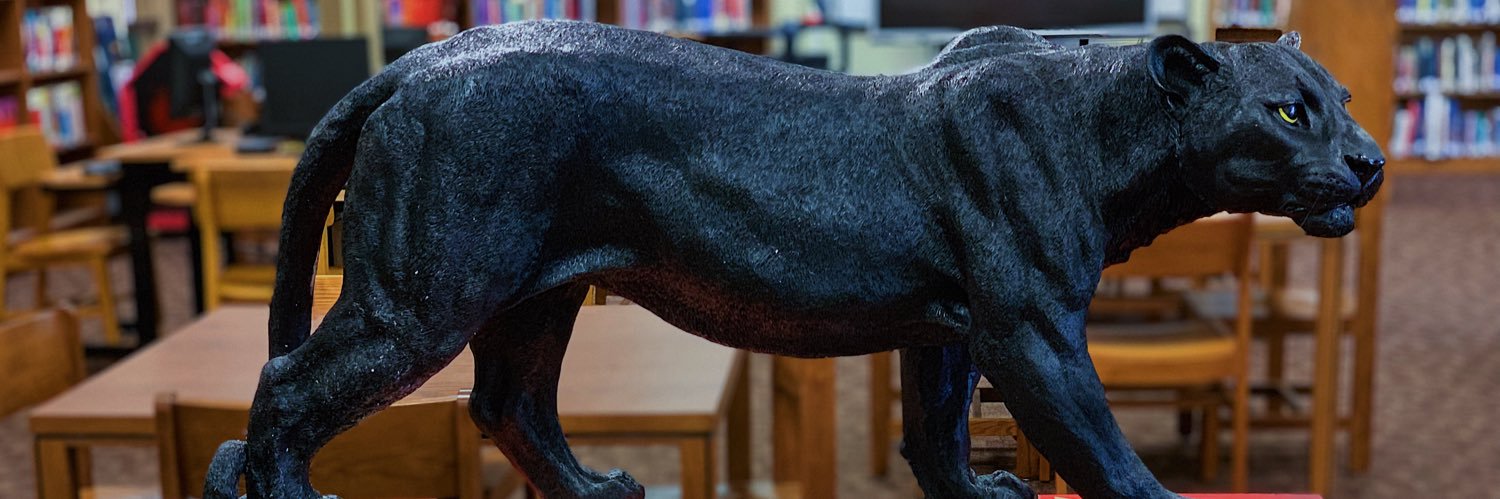 Pikeville HS Library banner