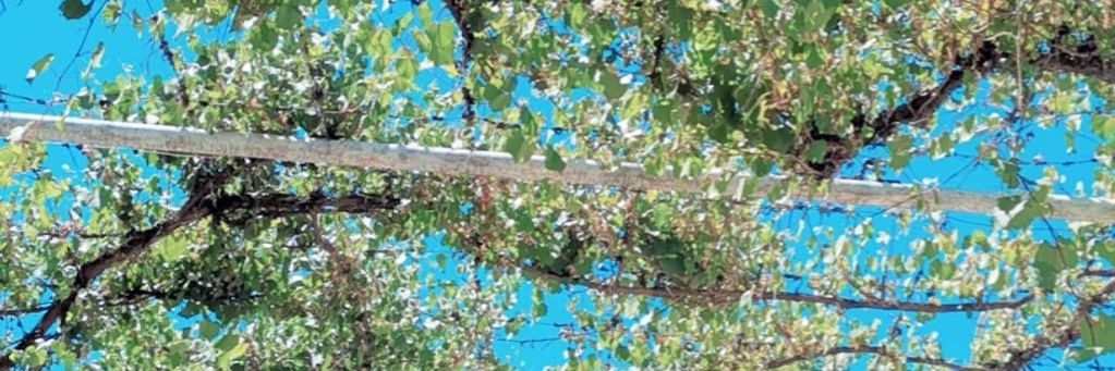 micove11's profile banner image
