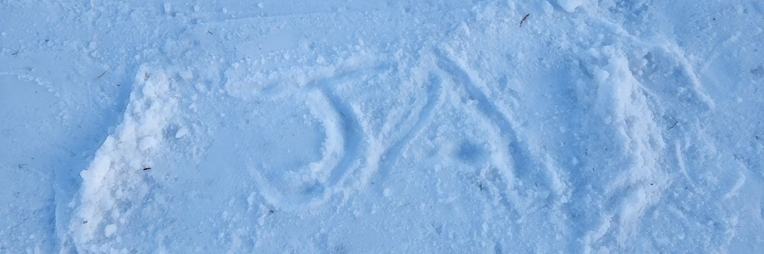 koradaja's profile banner image