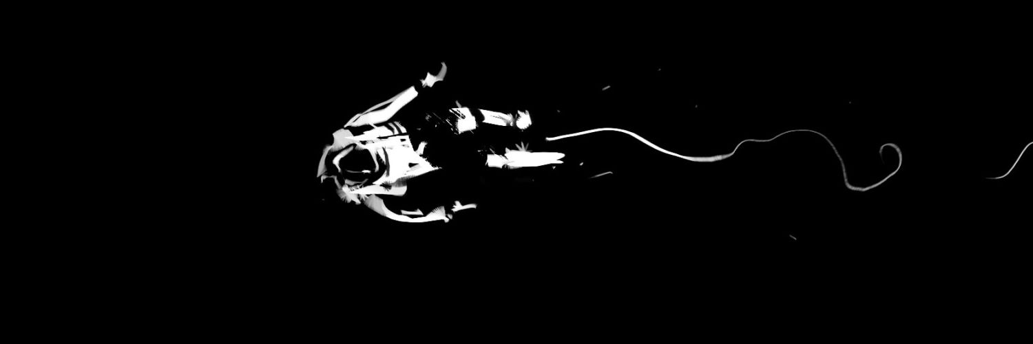 Rovinhoood's profile banner image