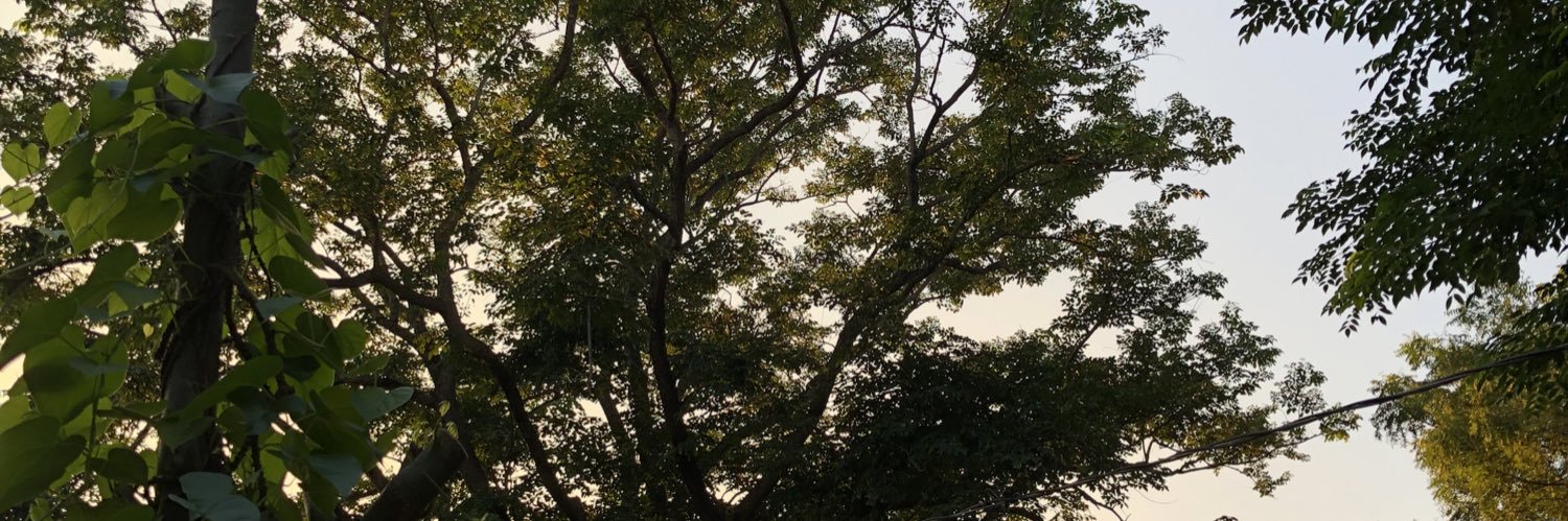 xtianasam's profile banner image