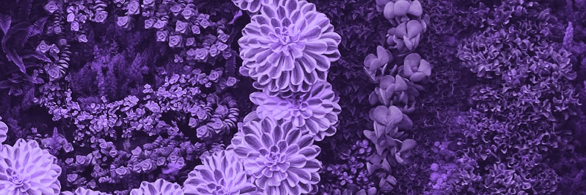 Eco Intelligent Growth (EIG) banner